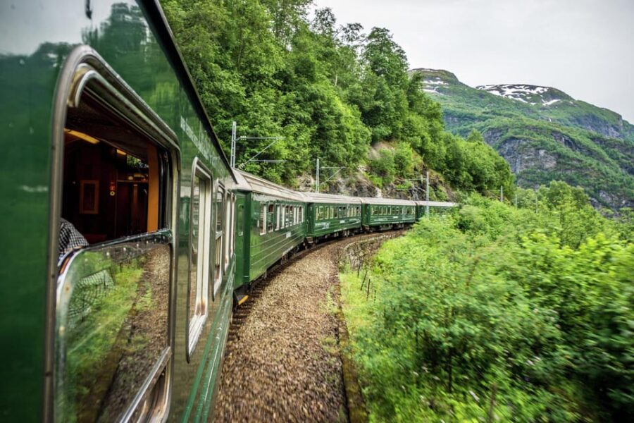 Private Guided Tour to Oslo Nærøyfjord Cruise & Flåm Railway