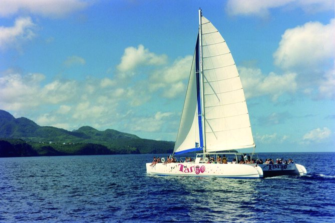 Private Half Day Catamaran Charter