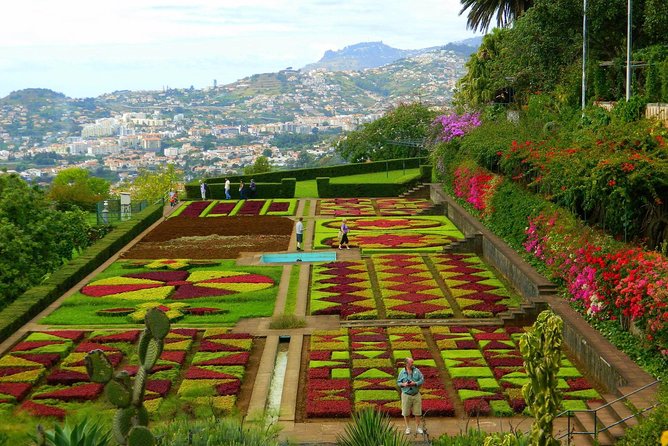 Private Half Day Madeira Tour (Mercedes Viano/Vito)