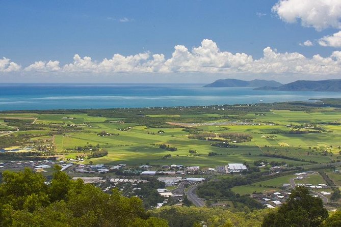 Private Half Day Tour: World Heritage Rainforest & Waterfall - Tour Overview