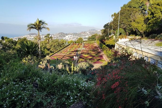 Private Halfday Madeira Garden Tour