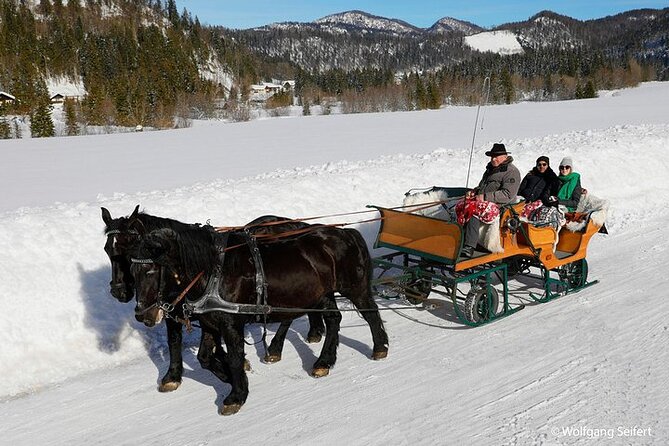 Private Horse-Drawn Sleigh Ride From Salzburg - Inclusions and Exclusions