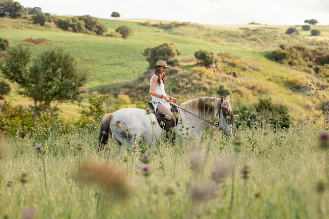 Private Horse Riding Adventure in Tbilisi