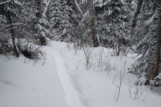 Private Horseshoe Valley Snowshoe/Crampons (Barrie/Moonstone)