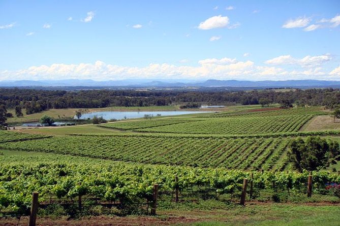 Private Hunter Valley Wine-Tasting Day Tour From Sydney