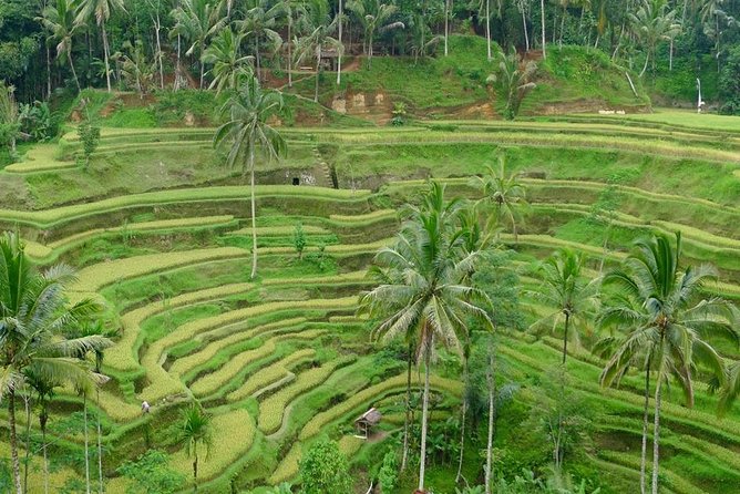 Private Inclusive Tours: 2 Days Highlight of Bali - Included Amenities