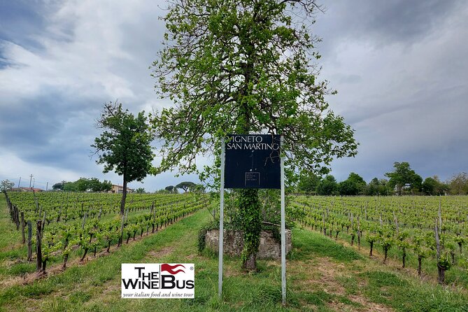 Private Irpinia Wine Tour From SORRENTO With Sommelier