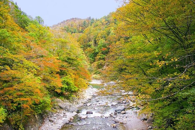 Private Karuizawa, Nagano Tour – Bilingual Chauffeur