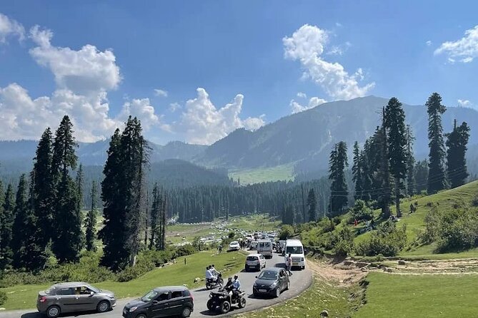 Private Kashmir Family 7-Day Tour - Tour Overview