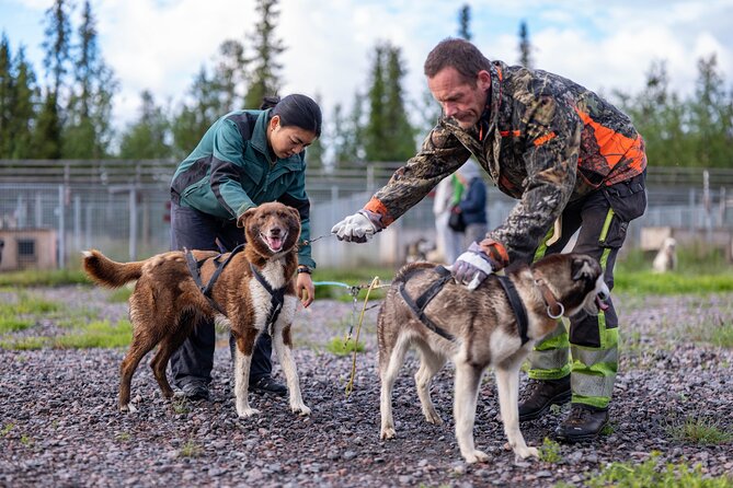 Private Kennel Visit and ATV Tour With the Huskies