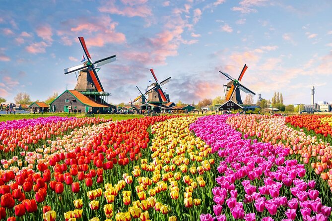 Private Keukenhof Tulip Fields Tour From Amsterdam - Tour Overview and Features