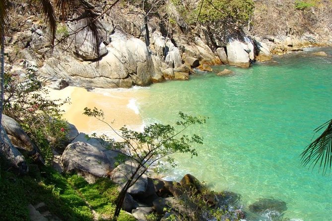 Private Los Arcos Snorkel and Beach Tour From Puerto Vallarta - Itinerary and Activities