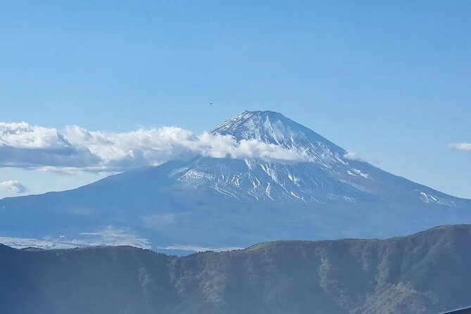 Private Mt Fuji and Hakone Day Tour From Tokyo