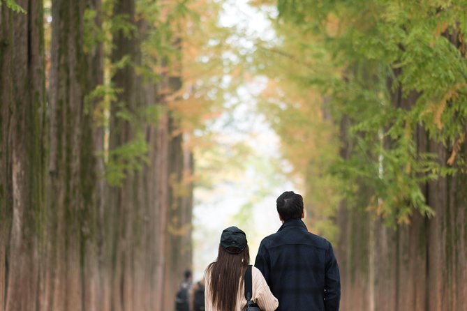 Private Nami Island Photo Shoot and Tour With a Photographer - Tour Overview and Highlights