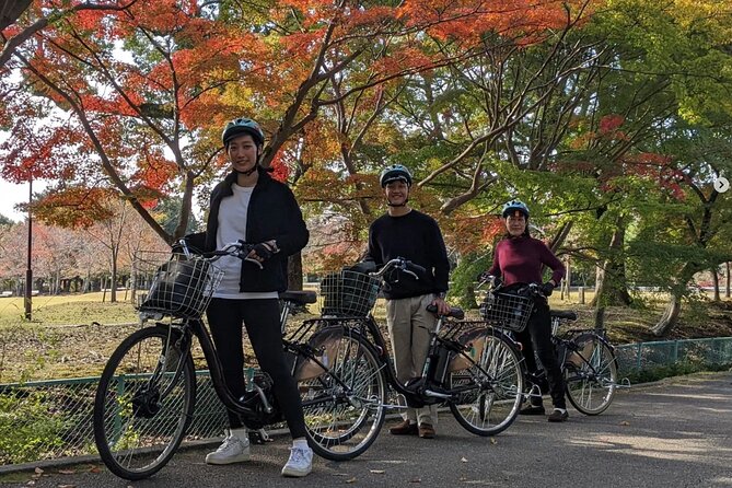 Private Nara E-Bike - Family Tour With Lunch