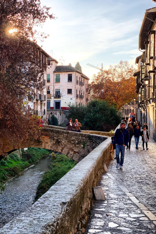 Private Official Guide in Granada