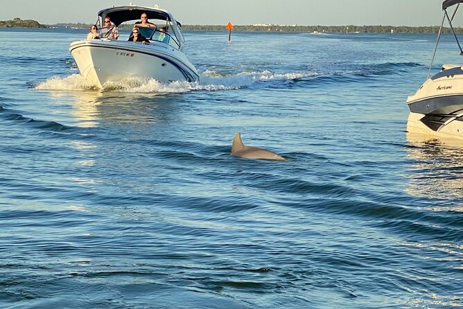 Private ONLY Dolphin Boat Tours
