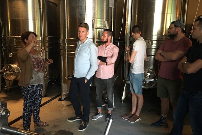 Private Organic Wine & Provence Food Tasting Tour (From Nice)