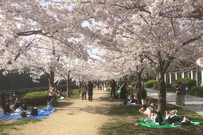 Private Osaka Tour With Hotel Pick up - 3,4,5 Hour Tours