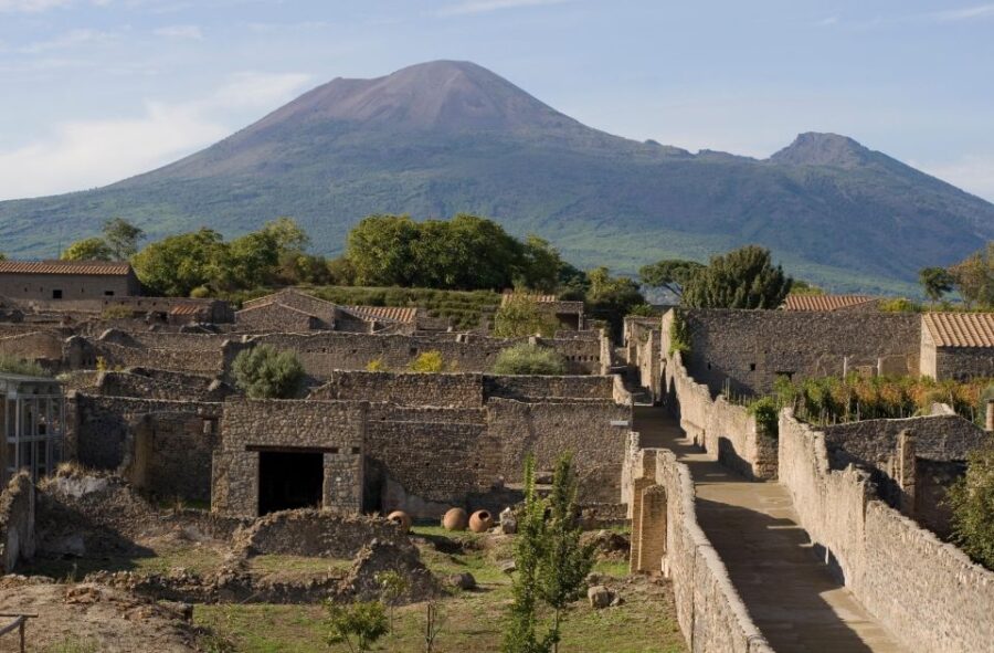Private Pompeii & Vesuvius Wine Tasting Tour
