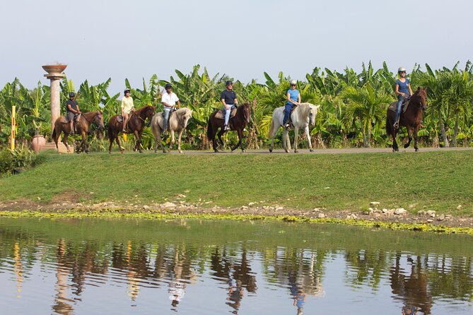 Private Ranch Horseback Tour in Carolina, Puerto Rico - Health and Safety Regulations