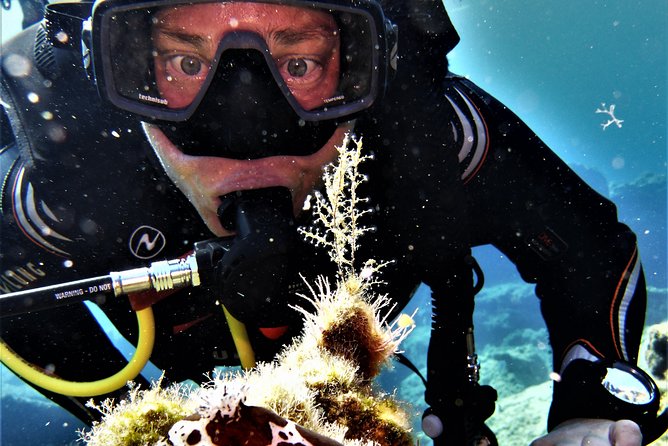 Private Scuba Diving Experience in Mandraki - Experience Overview