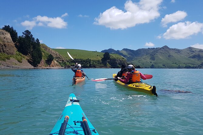 Private Sea Kayaking Tour From Christchurch/Lyttleton - Tour Overview