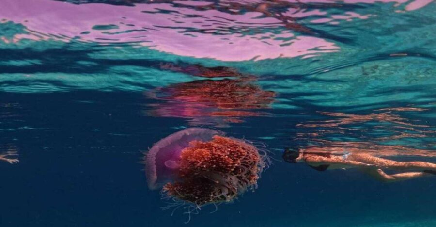Private Snorkeling 4 Spots Turtle in Gili Islands
