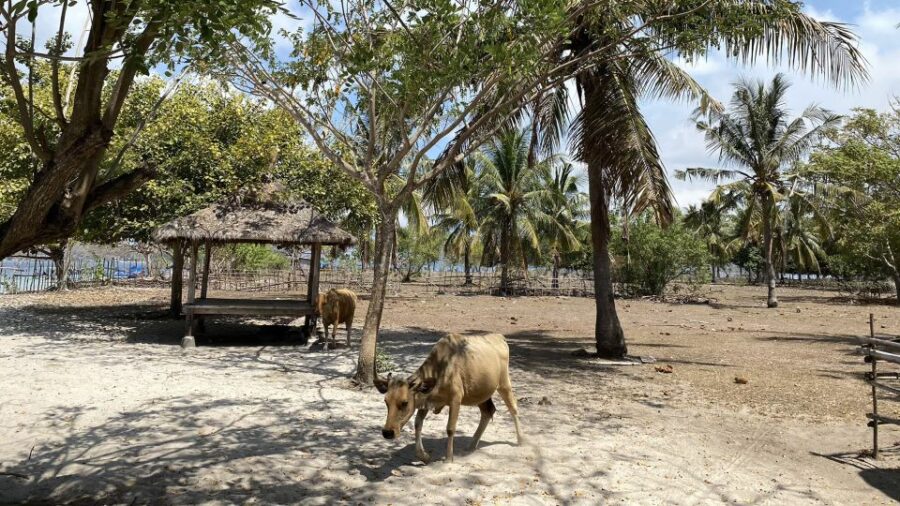 Private Snorkeling Gili Gede, Gili Asahan, Gili Goleng Tour - Private Snorkeling Tour Overview