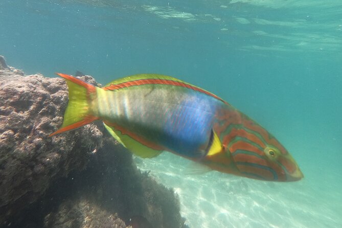 Private Snorkeling in Okinawa With Tropical Fish and Rock Pools