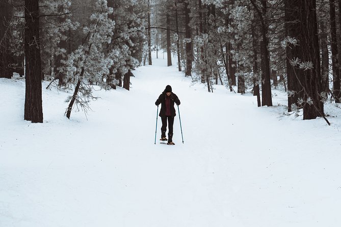 Private Snowshoeing Adventure From Badger Pass to Dewey Point