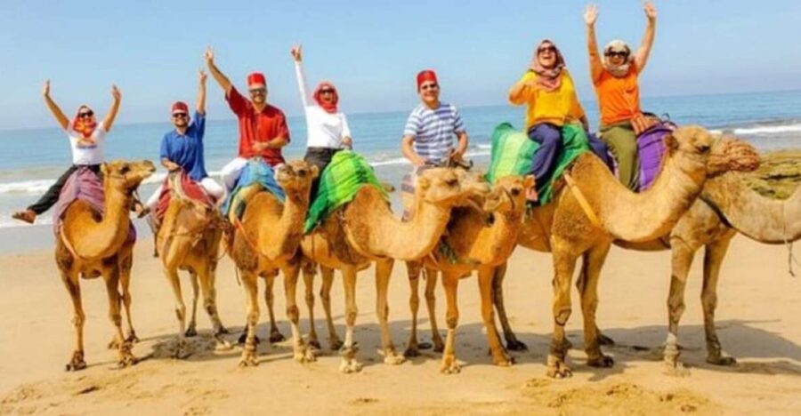 Private Tangier Tour From Marbella Including Camel & Lunch