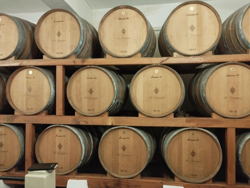 Private Tour Bairrada & Aveiro