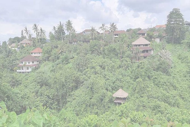 Private Tour: Campuhan Ridge Walk, Ubud Rice Terrace & Ubud Palace - Tour Overview