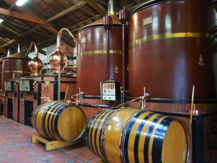 Private Tour: Craft Distilleries in Cognac Vineyards