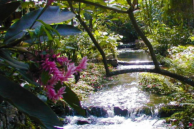 Private Tour From Ocho Rios To Blue Hole & Konoko Falls