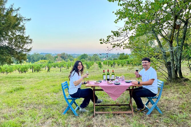 Private Tour in 2cv in the Vineyards With Tasting and Picnic