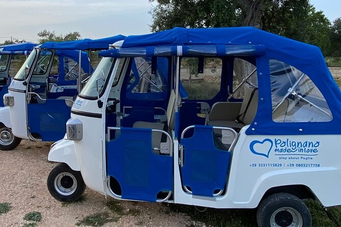 Private Tour in Ape Calessino in Polignano a Mare