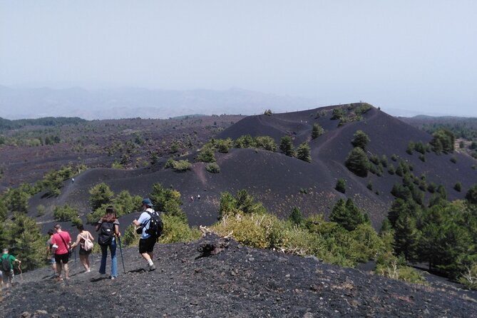 Private Tour of Mount Etna With Etna Doc Wine Tasting - Inclusions and Exclusions