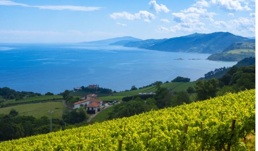 Private Tour of San Sebastian and Getaria With Txakoli Tasting