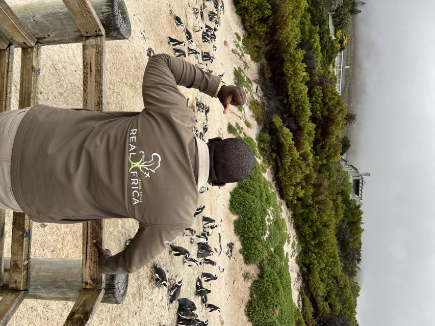 Private Tour: Swim With Penguins at Boulders Beach - Tour Overview