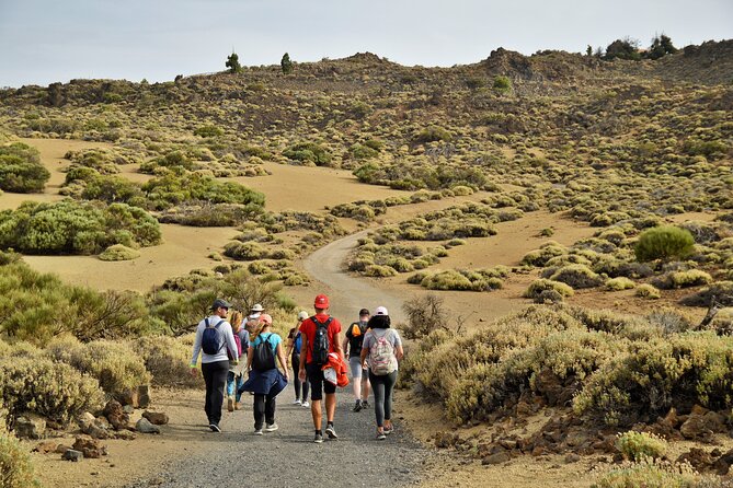 PRIVATE TOUR Teide National Park: Hiking and Stargazing