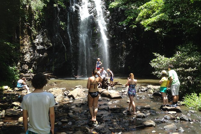 Private Tour: Tropical Rainforest and Waterfalls Day Trip From Cairns - Pickup Information
