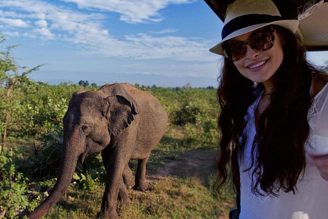 Private Tour : Udawalawe National Park Safari