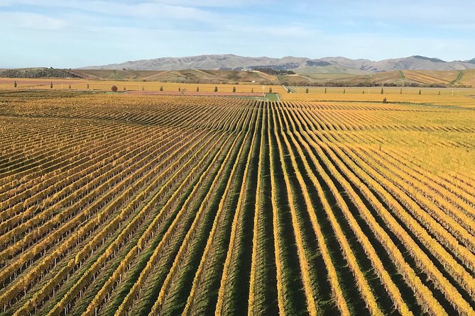 Private Tour: Winter Wine and Scenic Delights Tour From Picton