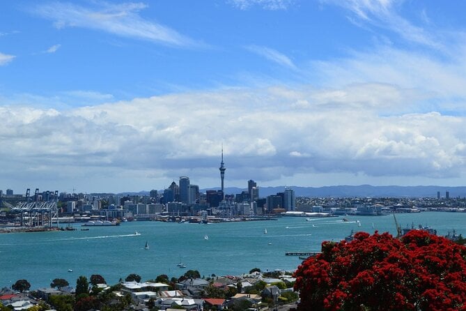 Private Transfer From Auckland City To Auckland Airport