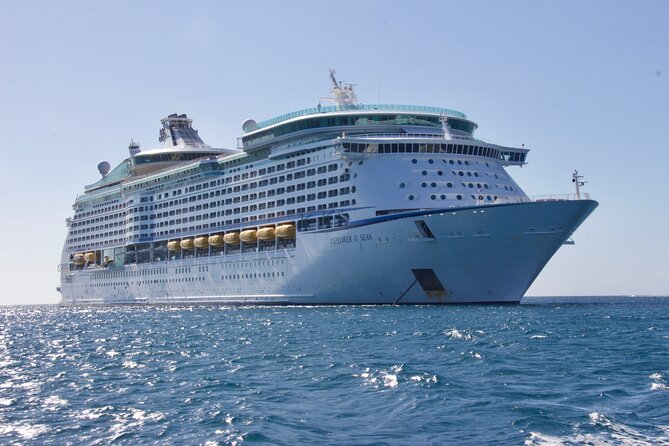 Private Transfer From Auckland City to Bay of Islands Cruise Port