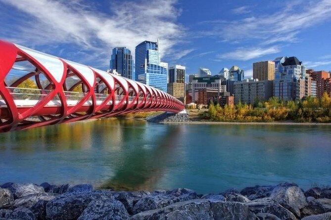 Private Transfer From Calgary to Calgary Airport YYC in Luxury Van - Overview of the Private Transfer