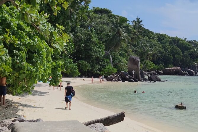 Private Transfer From the Airport to the Hotels, Port in the Seychelles