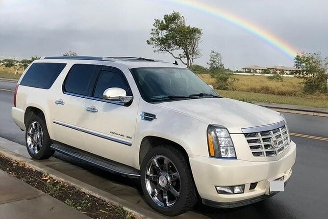 9 Best Private Car With Driver Services In Wellington